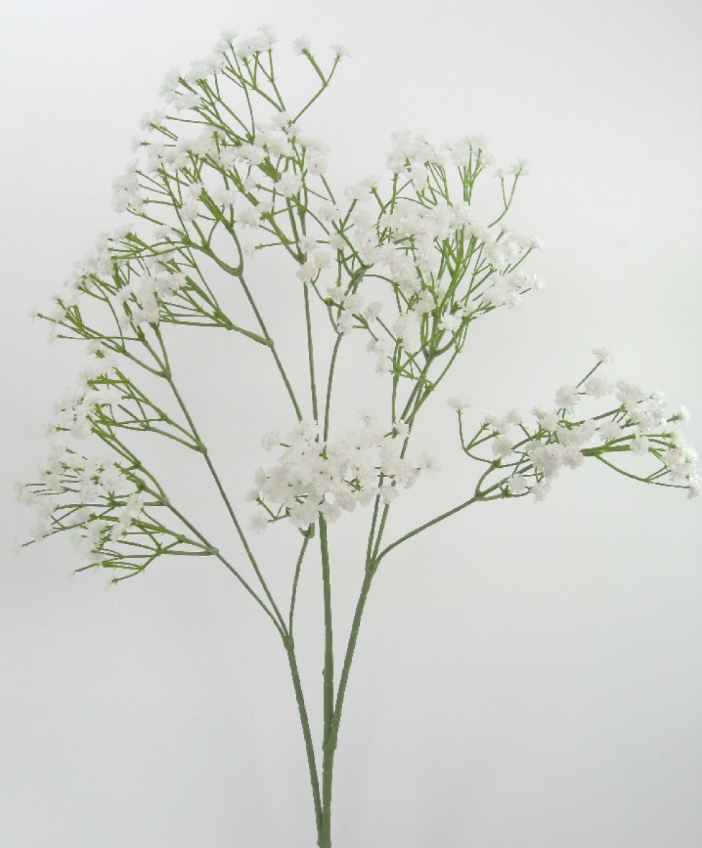 Schleierkraut 97cm weiss 120181-11